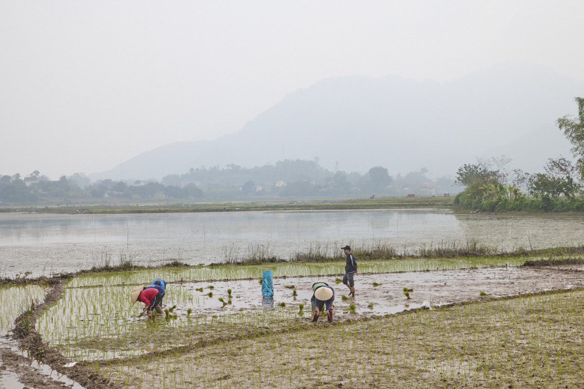 Vietnam 13 02 24 DSC9408 1200